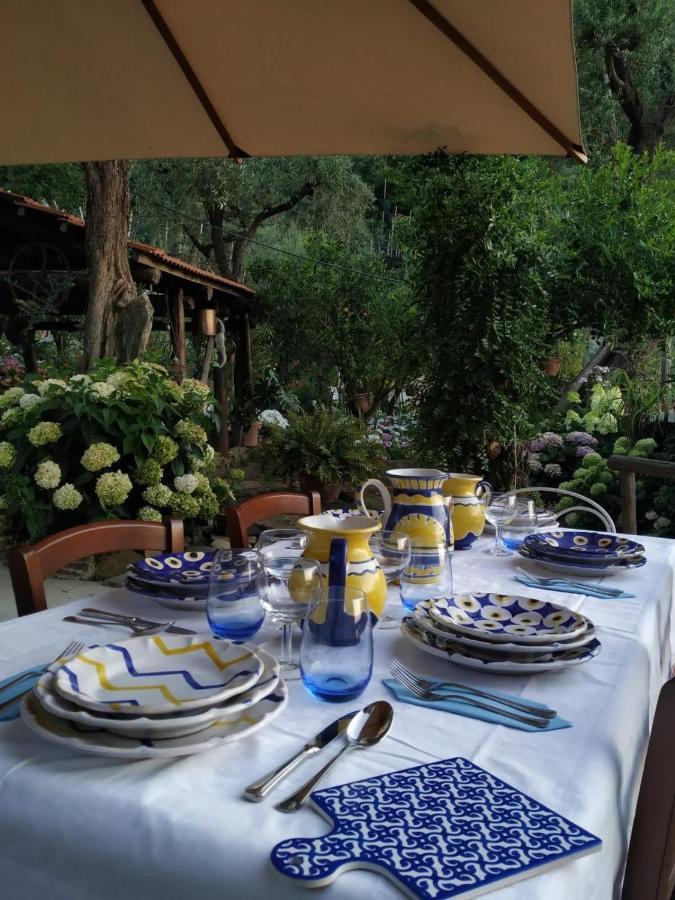 Da Rosali Bed & Breakfast Sorrento Bagian luar foto